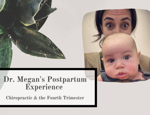 Dr. Megan’s Postpartum Experience: Chiropractic & the Fourth Trimester
